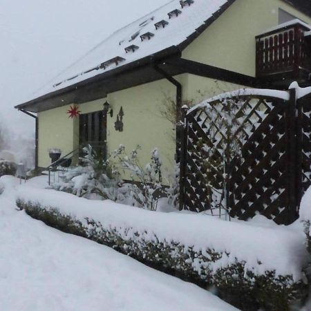 Fewo-Schmidt-Im-Erzgebirge Gelenau Zewnętrze zdjęcie